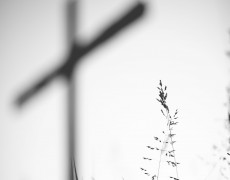 PAPA DESTACA CONVERSÃO NA QUARESMA