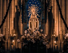 POR QUE MAIO É O MÊS DE MARIA?