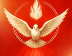 ACAMPAMENTO DE PENTECOSTES 2025