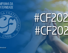 CONSULTA ELETRÔNICA SOBRE O TEMA, LEMA E INSPIRAÇÃO BÍBLICA PARA AS (CF) 2023/2024