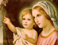 3 VERDADES SOBRE OS DOGMAS MARIANOS