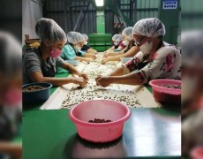 CAMPANHA DE SOLIDARIEDADE DA CARITAS INTERNACIONAL: NATAL NA PANDEMIA