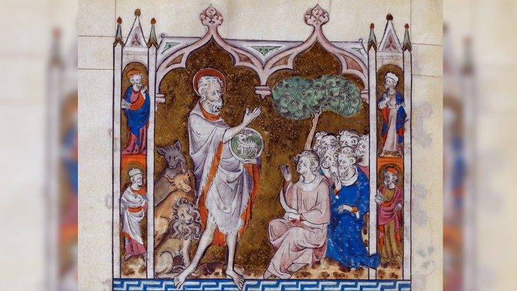 REFLEXÃO DE DOMINGO PARA A II SEMANA DO ADVENTO 