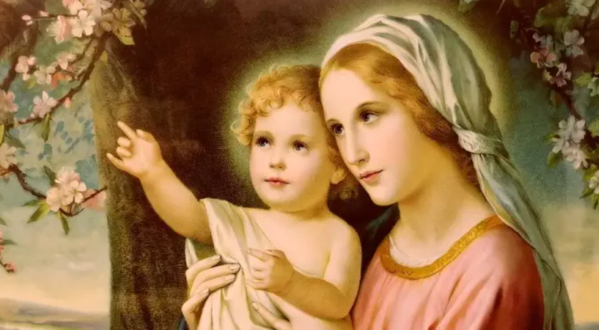 3 VERDADES SOBRE OS DOGMAS MARIANOS